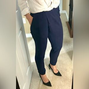 Babaton/Aritzia silk pants